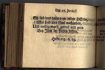 Buch Losungen